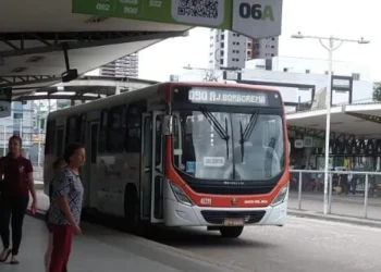MOBILIDADE URBANA: STTP Anuncia Reimplantação de Linhas de Ônibus com Uso da Nova Ponte