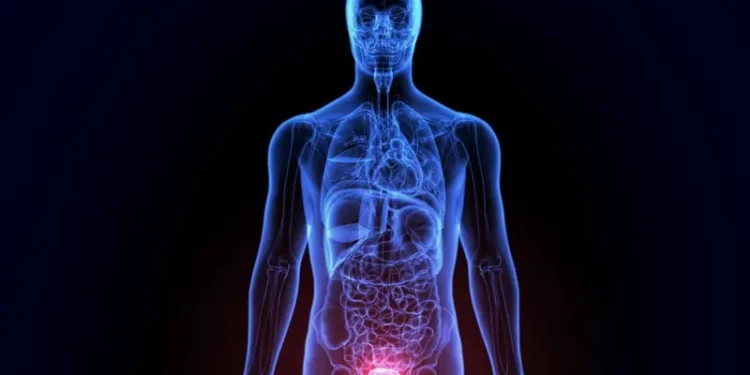 Cura de câncer de próstata pode chegar a até 98%, afirmam especialistas Cura de câncer de próstata pode chegar a até 98%, afirmam especialistas