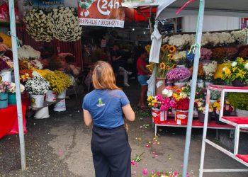 Preços de flores e velas variam até 213% em Campina Grande, aponta pesquisa do Procon Municipal