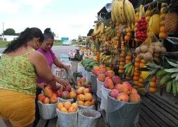 MP abre inquérito contra feiras de frutas às margens de rodovia na Paraíba