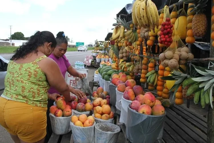 MP abre inquérito contra feiras de frutas às margens de rodovia na Paraíba