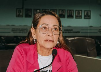 Aninha Cardoso quer respostas sobre instalação de CPI da Saúde