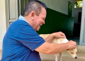 Há 20 anos, Campina Grande fazia história e se tornava pioneira no Brasil ao abolir o sacrifício de animais sadios