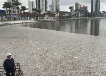 Sesuma irá analisar água do Açude Velho após maior mortandade de peixes da história