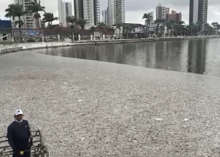 Vereadora Aninha Cardoso protocola pedido de audiência pública para debater situação calamitosa do Açude Velho