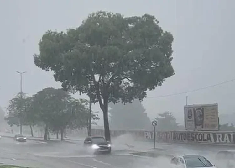 Chuvas intensas causam alagamentos em Campina Grande e mobilizam ação emergencial de vereador Plinio Gomes