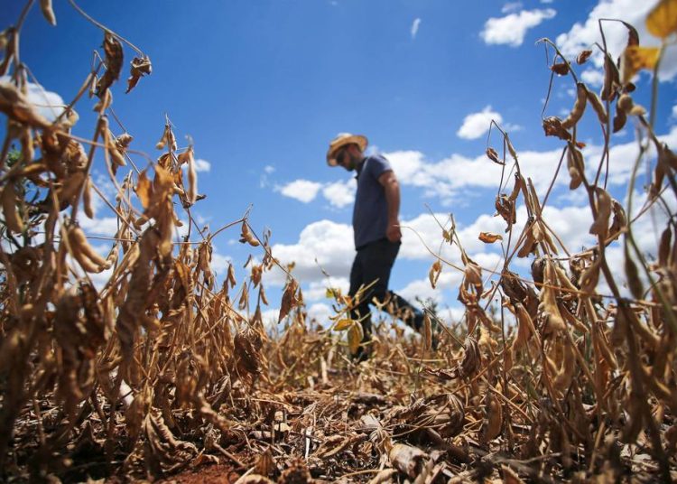 Garantia-Safra: agricultores de 3 municípios da Paraíba recebem R$ 1,2 mil em abril