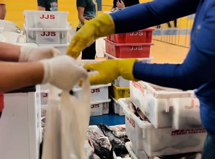 Distribuição de peixes beneficia mais de 1.500 famílias em Areial durante a Semana Santa