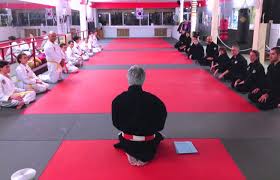 Dinho Papaleguas propõe programa “Artes Marciais nas Escolas” em Campina Grande