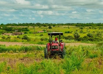 Prefeitura de Areial intensifica cortes de terra e fortalece apoio ao homem do campo