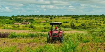 Prefeitura de Areial intensifica cortes de terra e fortalece apoio ao homem do campo