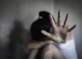 Vereador Plínio Gomes apresenta projeto para criar rede integrada de proteção a mulheres, crianças e adolescentes vítimas de violência