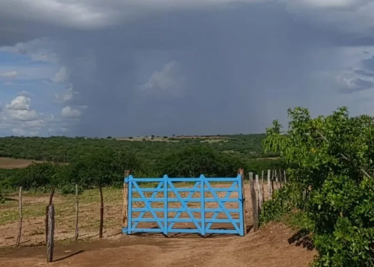 Inmet alerta para chuvas intensas em mais de 90 cidades da Paraíba; veja lista de municípios