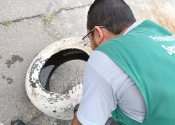 Paraíba já registra 5,8 mil casos de arboviroses e 11 mortes por dengue em 2026