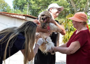 Prefeitura de Campina Grande realiza segundo Dia D de Vacinação Antirrábica neste sábado (12)