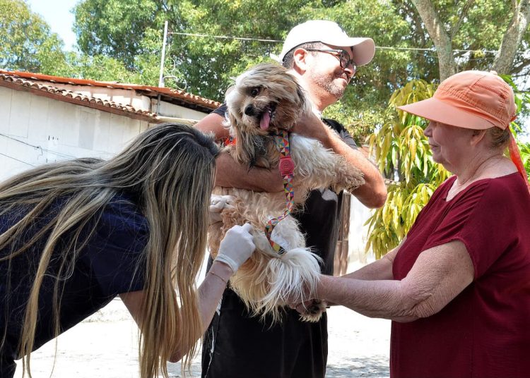 Prefeitura de Campina Grande realiza segundo Dia D de Vacinação Antirrábica neste sábado (12) Prefeitura de Campina Grande realiza segundo Dia D de Vacinação Antirrábica neste sábado (12)